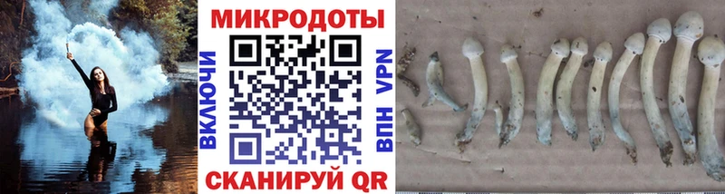 Псилоцибиновые грибы MAGIC MUSHROOMS  hydra как зайти  Болохово 