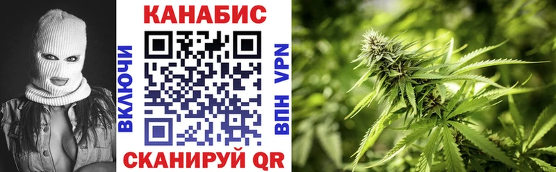 магазин Болохово Марихуана сатива
